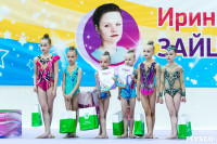 Тула провела крупный турнир по художественной гимнастике, Фото: 210