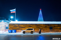 Как центр Тулы украсили к Новому году, Фото: 65