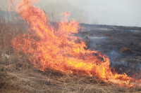 Возгорание сухой травы напротив ТЦ "Метро", 7.04.2014, Фото: 7