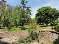 вырубка деревьев во дворе дома №33 по ул. Горького в Туле, Фото: 6