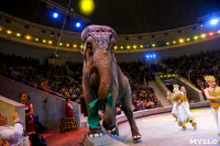Цирк Инди Ра, Фото: 106