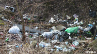 Поселок Славный в Тульской области зарастает мусором, Фото: 25