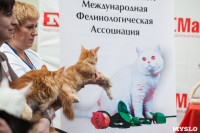 Выставка кошек в МАКСИ, Фото: 46