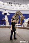 Цирк больших зверей в Туле: милый жираф Багир готов целовать и удивлять зрителей, Фото: 14