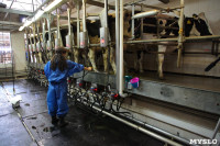 Конкурс профессионального мастерства среди операторов машинного доения коров, Фото: 34