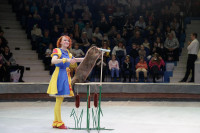 "Легенда": в тульском цирке – новая программа, Фото: 53