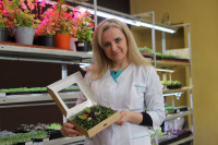 Елена Киеня выращивает микрозелень, Фото: 37