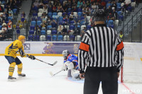 Финал Кубка губернатора Тульской области по хоккею, Фото: 42