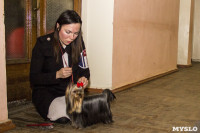 Выставка собак в ДК "Косогорец", Фото: 1