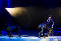 Хоровод в Тульском цирке, Фото: 88