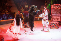 Шоу Гии Эрадзе «5 континентов» в Тульском цирке: феерия уже началась!, Фото: 46