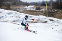 I-й этап Кубка Тулы по горным лыжам и сноуборду., Фото: 32