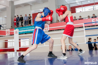 В Тульской области проходит областное первенство по боксу, Фото: 27