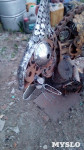 Железный хамелеон тульского умельца, Фото: 12