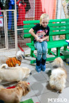 Догги Лэнд: в Туле открылся Дом маленьких собачек , Фото: 55