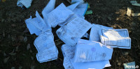Столичный мусор в Тульской области, Фото: 4