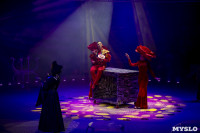 Шоу фонтанов «13 месяцев» в Тульском цирке – подарите себе и близким путевку в сказку!, Фото: 83