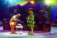 Цирковое шоу 5 континентов , Фото: 72