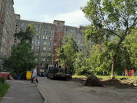 вырубка деревьев во дворе дома №33 по ул. Горького в Туле, Фото: 13