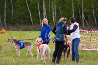 В Туле состоялись собачьи бега, Фото: 13