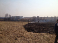В Ленинском районе из-за горящей травы сгорела дача, Фото: 5