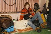 В Туле прошла всероссийская выставка собак, Фото: 29