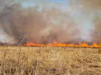 В Федоровке огонь с горящего поля едва не перекинулся на дома, Фото: 16