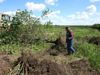 Русское поле фермера Кравцова, Фото: 6
