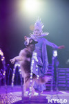 Шоу фонтанов «13 месяцев»: успей увидеть уникальную программу в Тульском цирке, Фото: 139