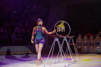 "Легенда": в тульском цирке – новая программа, Фото: 14