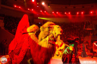 Программа Тропик-шоу в Тульском цирке, Фото: 15