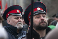 В Туле проходит митинг в поддержку Крыма, Фото: 47