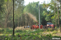 В Туле проводят работы по благоустройству зон отдыха. 26 июля 2014 год, Фото: 11