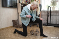 Юная дрессировщица из Тулы научила кролика 20 командам и попала в Книгу рекордов России, Фото: 20