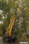 Кронирование тополей на ул. Калинина, Фото: 1
