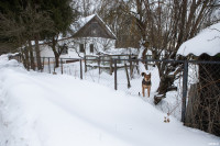Топить снег, чтобы помыться: как живут без водопровода жители поселка Лесной у Ясной Поляны , Фото: 15