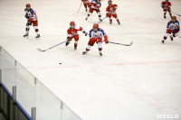 Детский хоккейный турнир в Новомосковске., Фото: 53