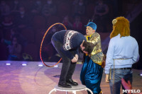 Шоу фонтанов «13 месяцев» в Тульском цирке – подарите себе и близким путевку в сказку!, Фото: 16