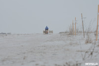 Гонки на собачьих упряжках «Большой тур» на Куликовом поле, Фото: 66