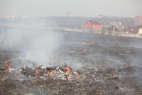 Возгорание сухой травы напротив ТЦ "Метро", 7.04.2014, Фото: 4