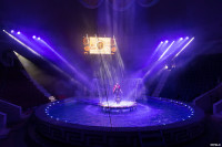 В Тулу приехал цирковой мюзикл на воде «Одиссея», Фото: 3