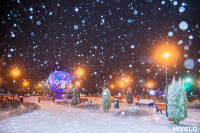 Зимняя сказка в Центральном парке, Фото: 16