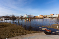 В Туле Упа поднялась почти на метр и затопила набережную, Фото: 58