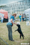 Всероссийская выставка собак в Туле, Фото: 56
