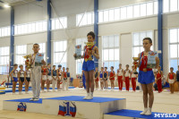 Спортивная гимнастика в Туле 3.12, Фото: 50
