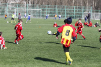 XIV Межрегиональный детский футбольный турнир памяти Николая Сергиенко, Фото: 6