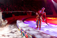 Цирковое шоу Жар птица, Фото: 120