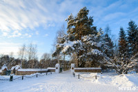 Снежное Поленово, Фото: 8