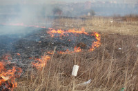 Возгорание сухой травы напротив ТЦ "Метро", 7.04.2014, Фото: 17