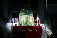 "Чудеса под Новый год" в Тульском цирке, Фото: 12